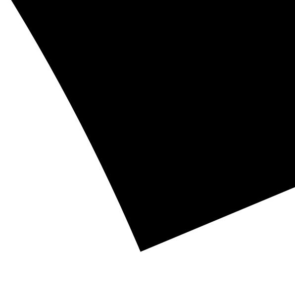 Vektorgrafika nagyításban: 1600× zoom után is sima, éles kontúr (nem pixelesedik)</p>
<p>Felirat (caption):